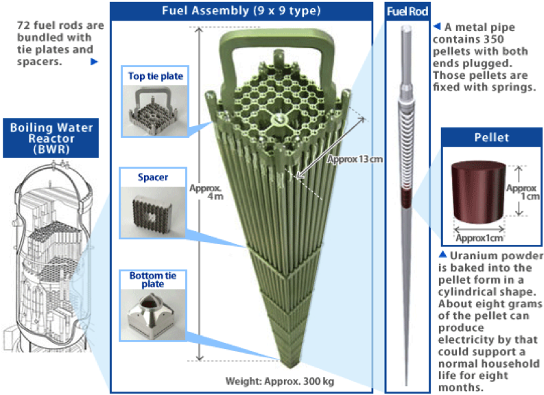 Fuel Assembly (9x9 type), Fuel Rod, and Pellet for a Boiling Water Reactor (BWR)