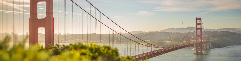 Golden Gate Asset