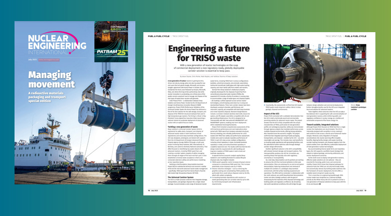 NEI publication cover